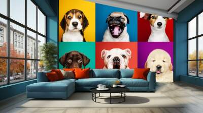 Portrait collection of adorable puppies Wall mural