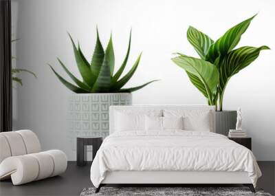 Potted houseplant png cut out element set Wall mural