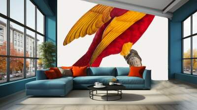 Red-and-gold lory Wall mural