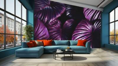 Shiny purple leaves Wall mural