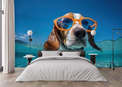 Sunglasses beagle dog swimming. Wall mural