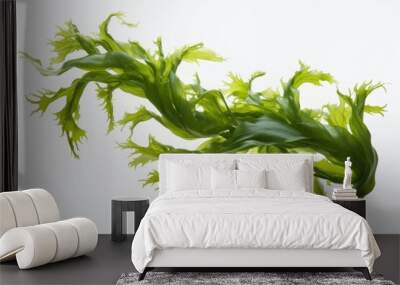 Swaying kelp seaweed plant white background freshness. Wall mural