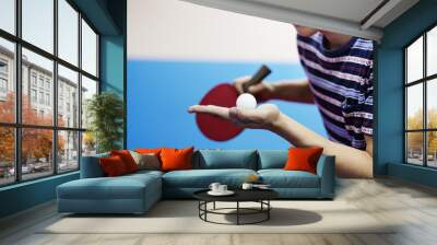 Table Tennis Ping-Pong Sport Activity Concept Wall mural