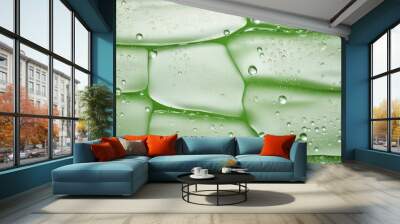 Texture backgrounds green leaf. Wall mural