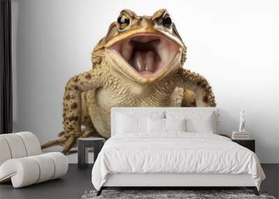 Toad amphibian wildlife reptile. Wall mural