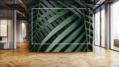 Tropical green leaves background Wall mural