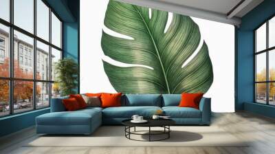 Tropical leaves plant leaf white background. Wall mural