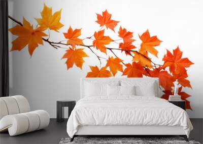 Vibrant autumn leaves on branch Wall mural