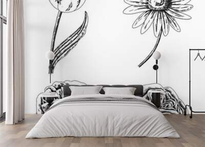 Vintage flower drawing set transparent png Wall mural