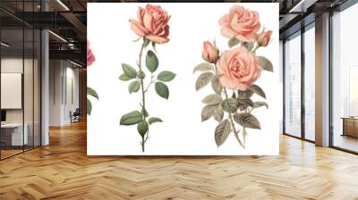 Vintage rose flower png cut out element set Wall mural