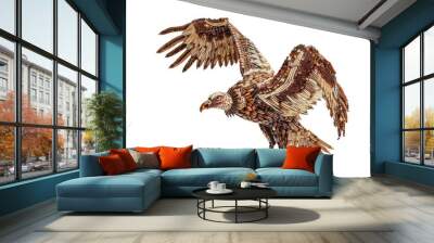 Vulture vulture animal bird. Wall mural