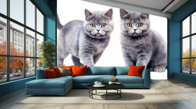 Watercolor scottish fold png cut out element set Wall mural