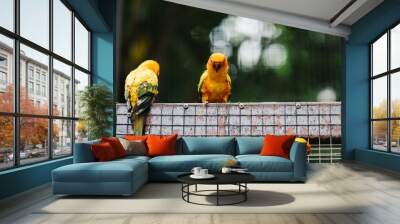 Yellow birds in an enclosure Wall mural