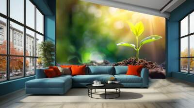 Young plant growing soil sunlight outdoors. Wall mural