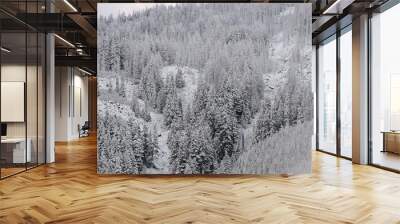 First Snow in West Central Cascades 2018 - 6 Wall mural