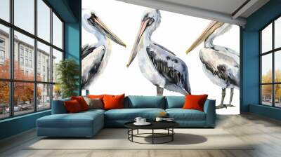 watercolour painting of pelican set collection isolated on white background Wall mural