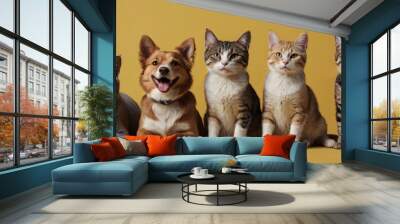 Dog and cat portrait on yellow background isolated. Pets and companions. Commercial banner for advertising cat and dod food Wall mural