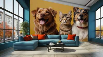 Dog and cat portrait on yellow background isolated. Pets and companions. Commercial banner for advertising cat and dod food Wall mural