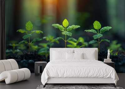 green plant agriculture growth leaf life ecology grow young nature small new seed concept gardening spring Wall mural