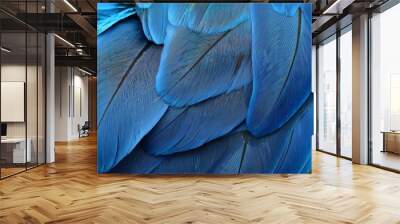 beautiful macaw feathers blue exotic texture for background Wall mural