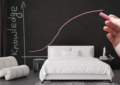 Learning curve Wall mural