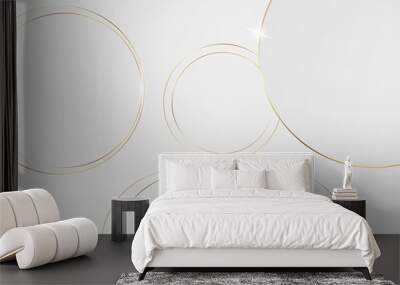 Abstract 3D circle papercut layer white background with gold line effect Wall mural