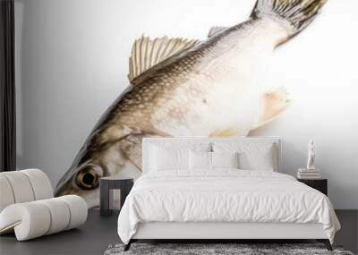 Cod fish isolated on white. Generative AI Wall mural