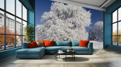 Snow tree under blue sky Wall mural