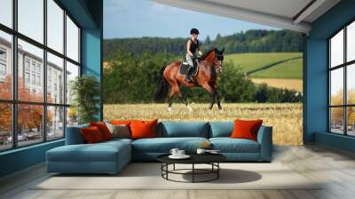 Young horse woman rides young horse on a harvested field in various gaits. Wall mural