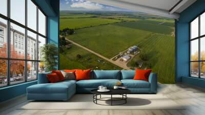 Aerial Shot of Farm Wall mural