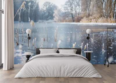 Frozen pond, surrounded by snow-covered reeds, soft light reflecting off the ice, snowy trees in the background, copy space above.  Wall mural