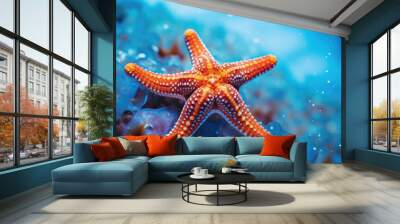 starfish in the water  Wall mural