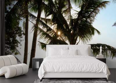 The sun behind the leaves of a palm tree. Wall mural