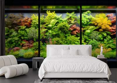 Aquatic plant life in a vibrant aquarium, concept of underwater beauty and exotic fish habitat, colorful and decorative nature scene Wall mural