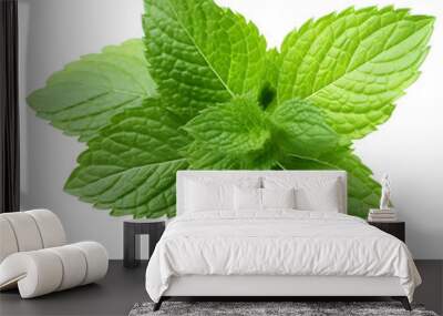 bunch of mint leaves PNG Wall mural