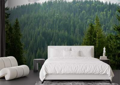 Smereka pine in the Carpathian mountains. Green forest nature. Trees. Spruce tops Wall mural