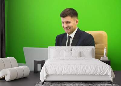 The happy man works with the laptop on the green background Wall mural