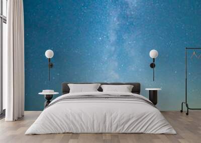 The two friends stand on the background of the starry sky. night time Wall mural