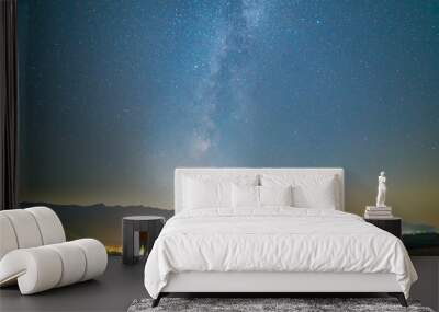 The two friends stand on the background of the stars. night time Wall mural