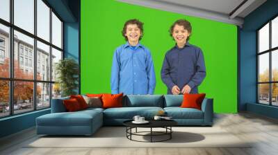 The two little twin stand on the green background Wall mural