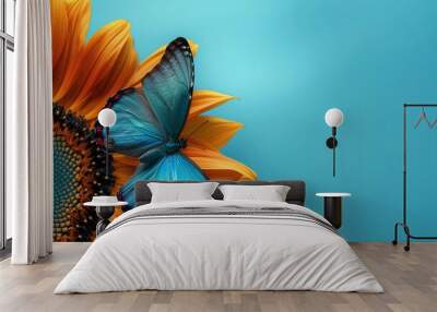 A butterfly on a sunflower, turquoise background, text space. Wall mural