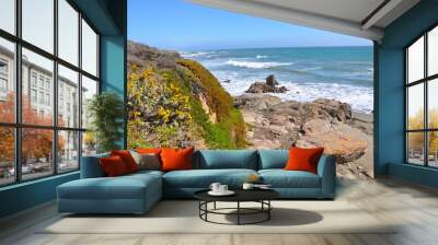 Rocky Shore 2 Wall mural