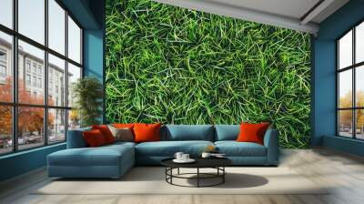 artificial green grass texture Wall mural