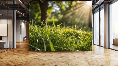 Sunlight shine from top of landscape close-up view of grass on ground, fresh morning summer vibe image, nature and plants Wall mural