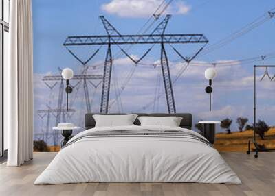 Electricity pylons Wall mural