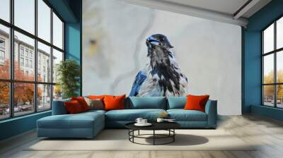 wild black crow bird photo Wall mural