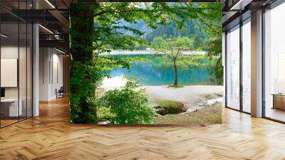 Summer evening landscape on Jasna lake. Nature scenery in Triglav national park. Location: Triglav national park. Kranjska Gora, Slovenia, Europe. Wall mural