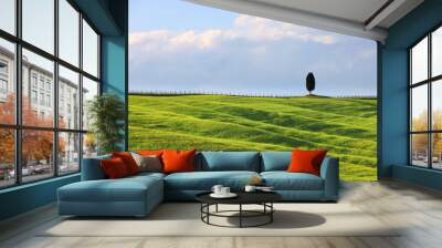 Typical summer landscape in Tuscany, Italy, Europe Wall mural