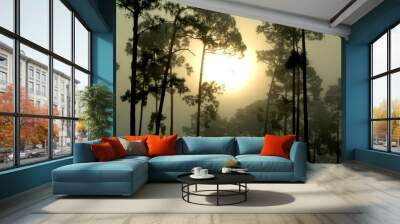 fog scenes 1 Wall mural