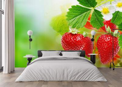 fresh strawberries Wall mural